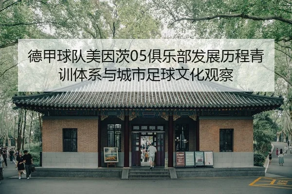 德甲球队美因茨05俱乐部发展历程青训体系与城市足球文化观察