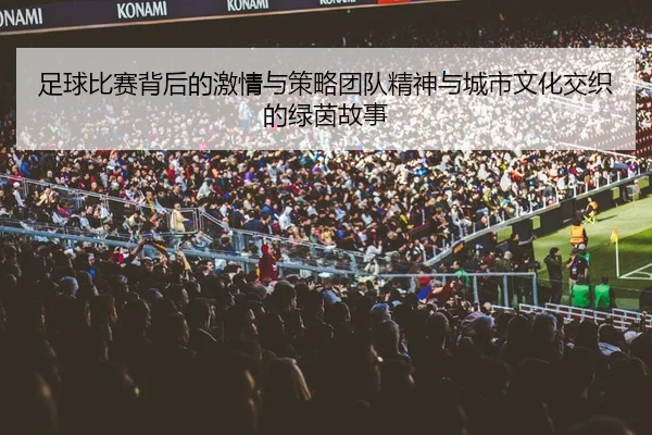 足球比赛背后的激情与策略团队精神与城市文化交织的绿茵故事